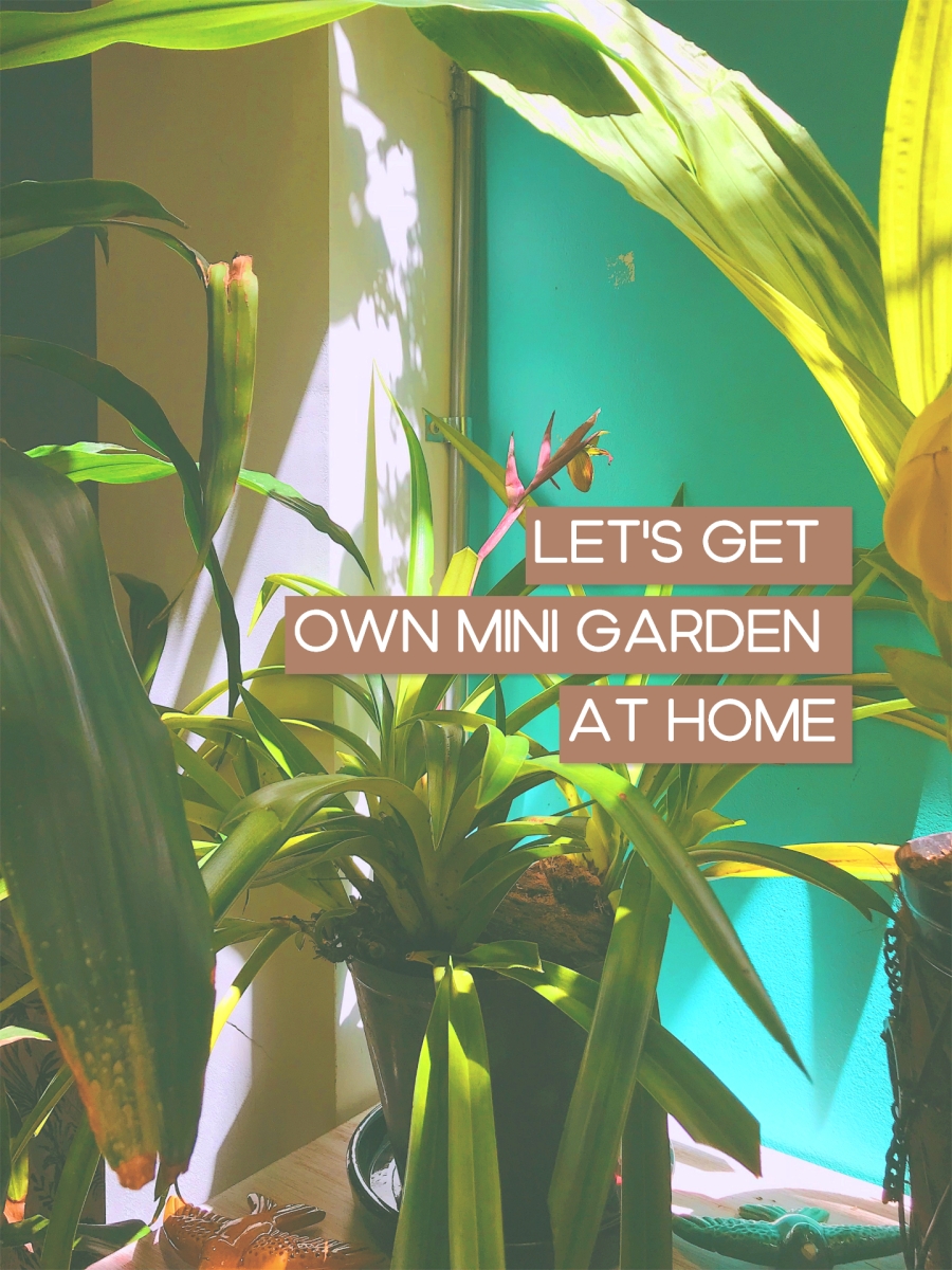 Home Decor – Ways And Steps To Get Your Own Cool Mini Garden At Home